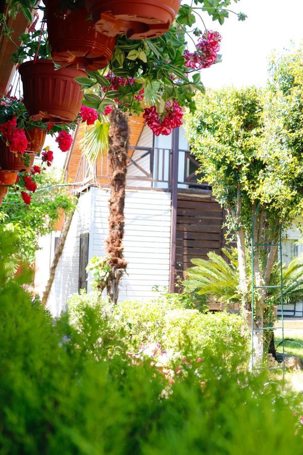 Guest House Alashara Pizunda Exterior photo