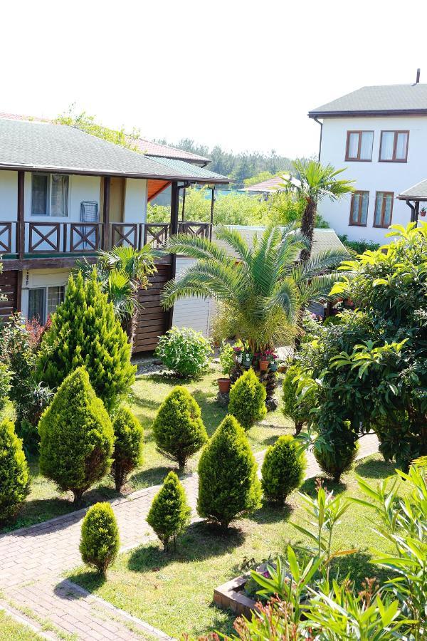 Guest House Alashara Pizunda Exterior photo